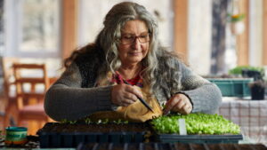 The Gardener’s Year