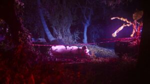 At Night All the Cats Are Black