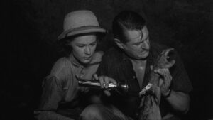 The Brain from Planet Arous