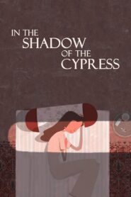 In the Shadow of the Cypress