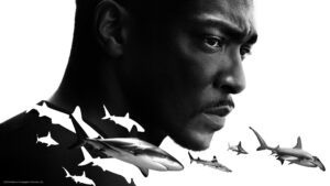 Shark Beach with Anthony Mackie
