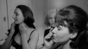 Red Roses of Passion