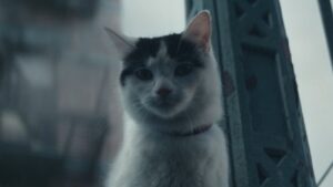 A Quiet Place: Day One