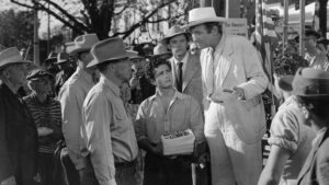 All the King’s Men