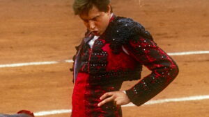 Afternoons of Solitude