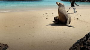 Guardians of the Galapagos