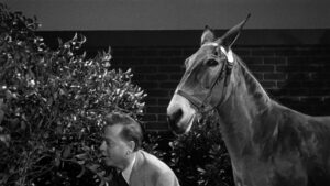 Francis in the Haunted House