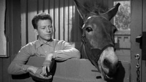 Francis Goes to the Races