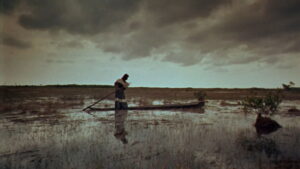 Wind Across the Everglades