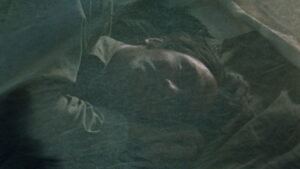 Wind Across the Everglades