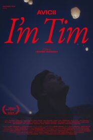 Avicii – I’m Tim