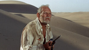 Sands of the Kalahari