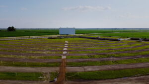 Back to the Drive-in