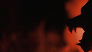 Night of the Werewolves