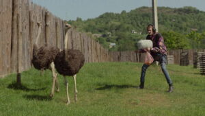 My Thoughts Are Silent