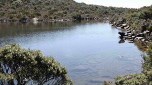 The Survival of Kindness