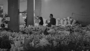 Falling in Love Like in Movies