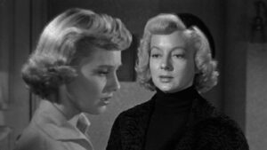 The Killer That Stalked New York