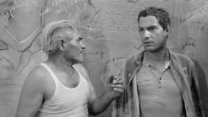 On the Tiger’s Back