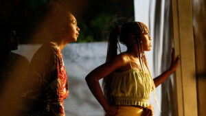 On Becoming a Guinea Fowl