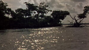 Wind Across the Everglades
