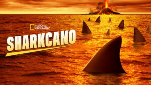 Sharkcano