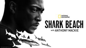 Shark Beach with Anthony Mackie