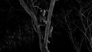 The Door with Seven Locks