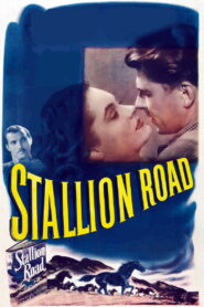 Stallion Road