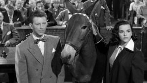 Francis Covers the Big Town