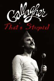 Gallagher: That’s Stupid