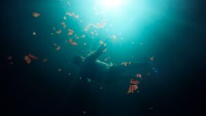 The Guardian of the Monarchs