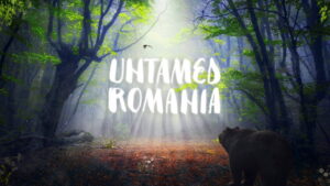 Untamed Romania