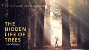 The Hidden Life of Trees