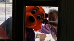 Cool Cat vs Dirty Dog ‘The Virus Wars’