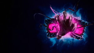 The Last Video Store