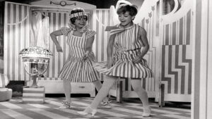 Don’t Sting the Mosquito