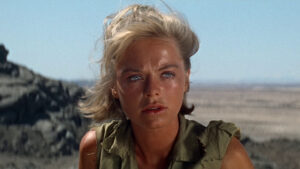 Sands of the Kalahari