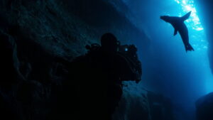 Guardians of the Galapagos