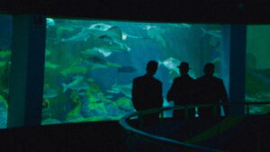 Danger Point: The Road to Hell