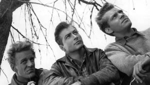 The Farmer’s Daughter