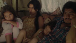 The Awakening of the Ants