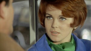 The Tiger and the Pussycat