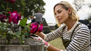 Muzzle: City of Wolves