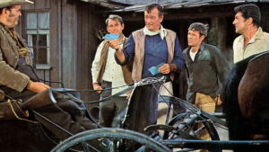 The Sons of Katie Elder