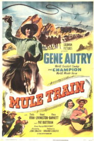 Mule Train