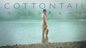 Cottontail