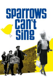 Sparrows Can’t Sing