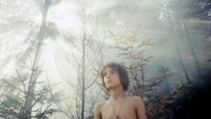 Shadows of Forgotten Ancestors