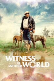 Witness of Another World